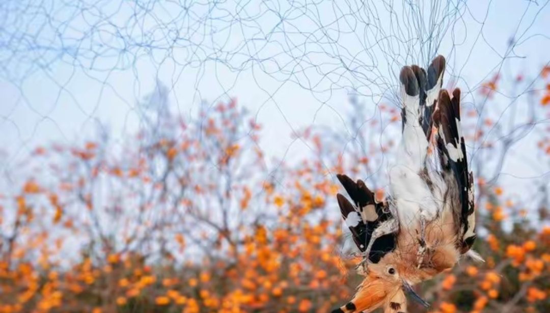 最高级的“报复”，是让他永久失去访问权限？