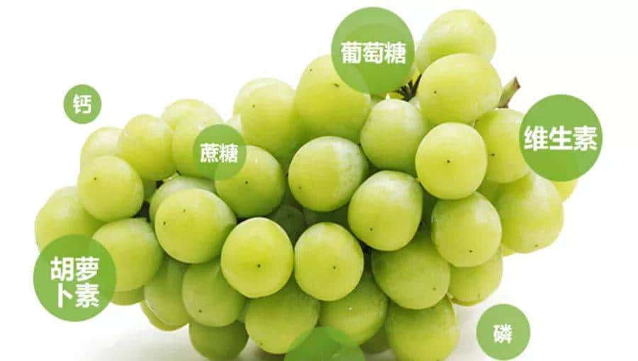 50种中化MAP水果的美味,你可能才尝过1%