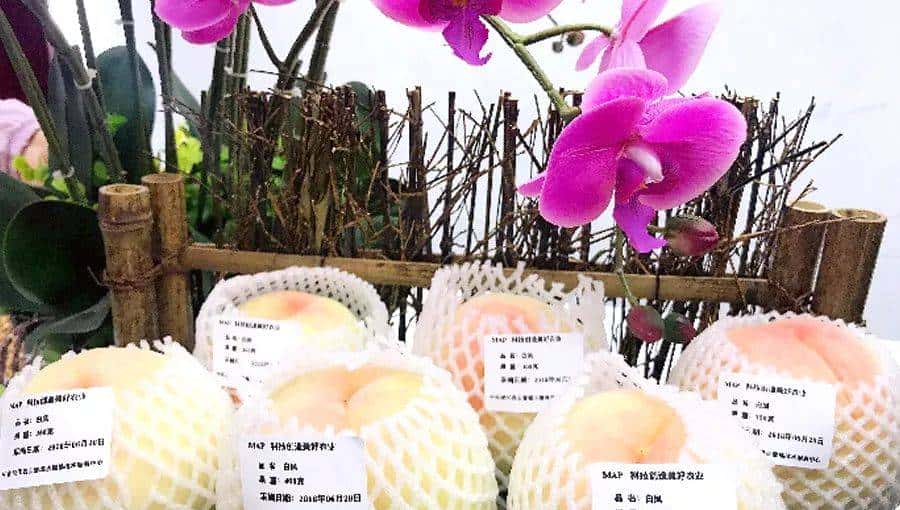 50种中化MAP水果的美味,你可能才尝过1%