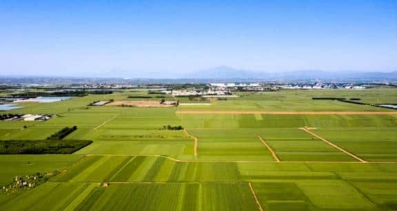 为啥提黄土高坡,陕西总括号标“陕北”?陕西三兄弟指谁?