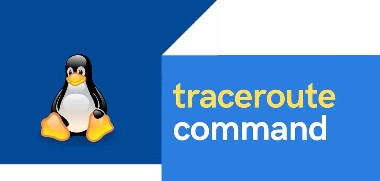 Linux常用的网络命令有哪些?快速入门!