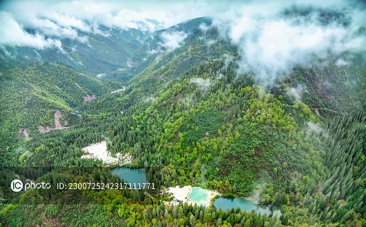 文件格式及功能汇总