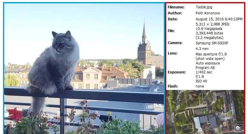 什么是Few-shot Learning - 鹿快