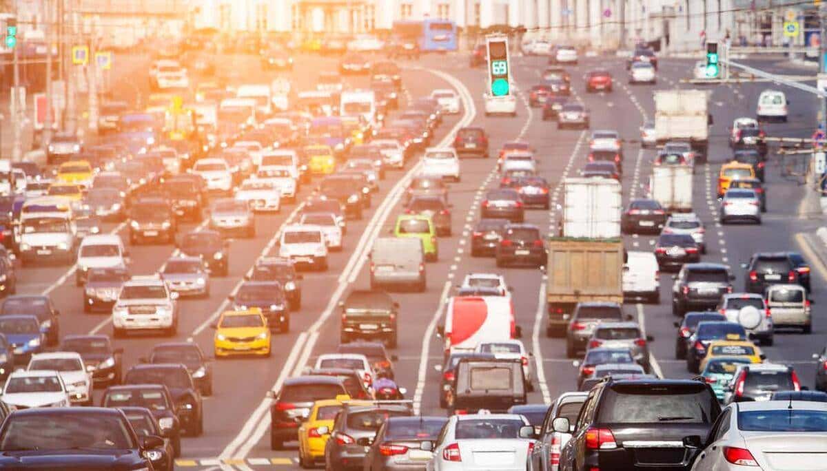 小学英语单词打卡(六下H)