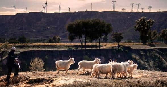 为啥提黄土高坡,陕西总括号标“陕北”?陕西三兄弟指谁?