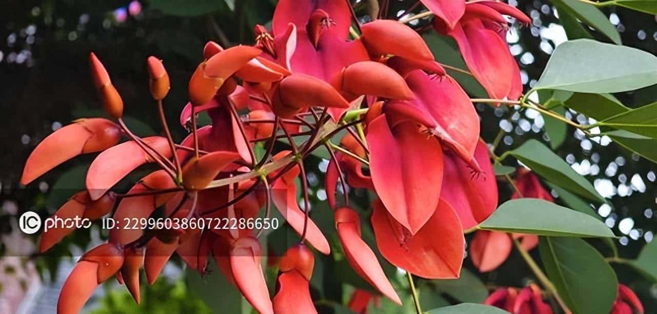 文件格式及功能汇总 - 鹿快