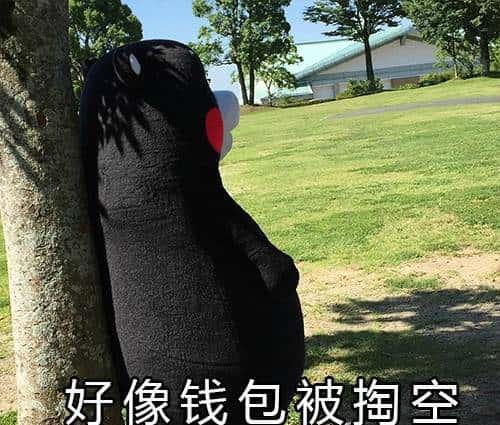 这些千元级轻奢小包,清爽百搭还显高!