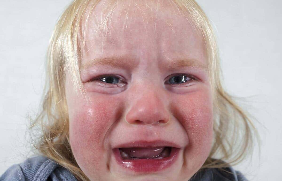 小学英语单词打卡(六下H)