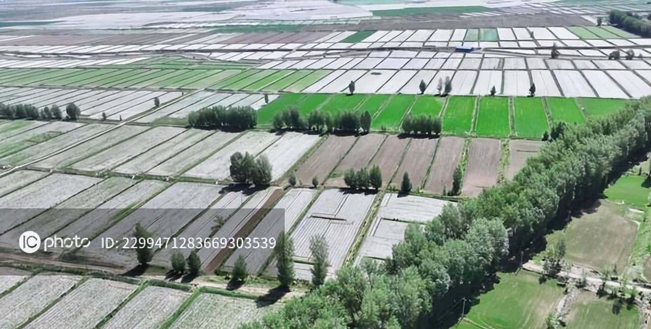 文件格式及功能汇总