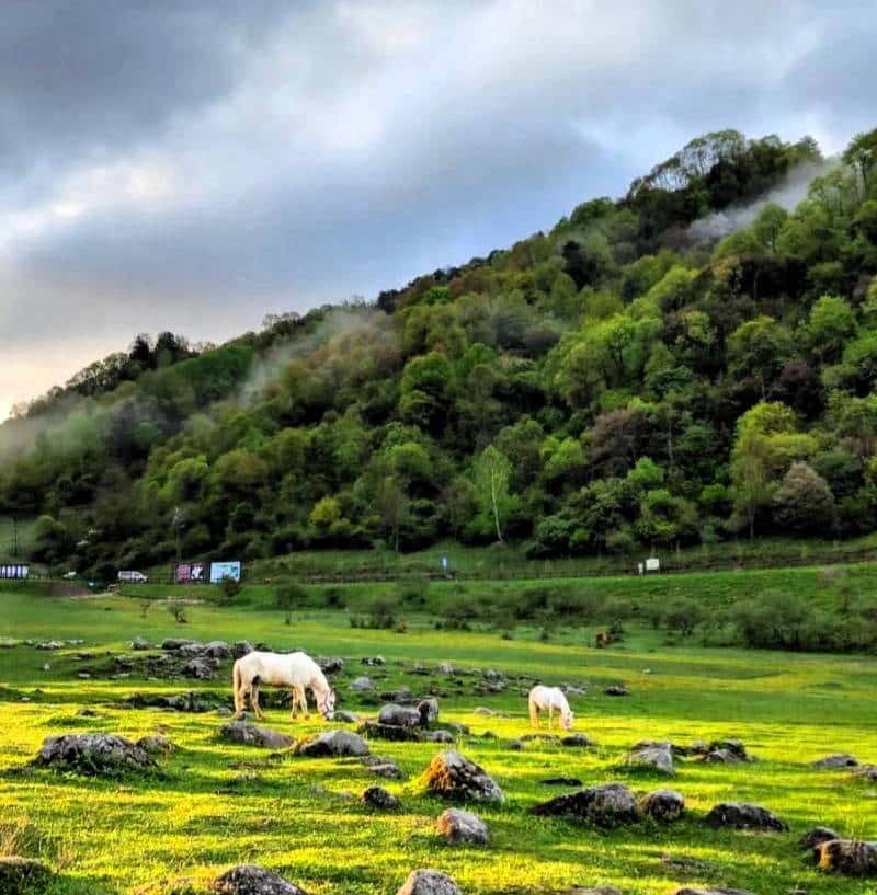 为啥提黄土高坡,陕西总括号标“陕北”?陕西三兄弟指谁?