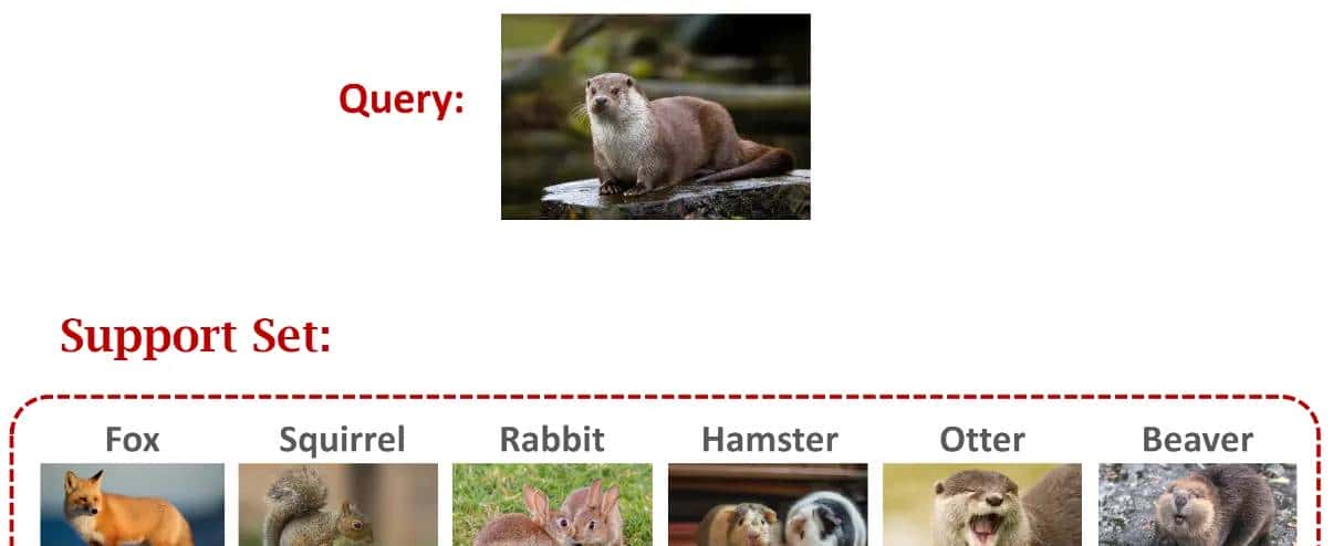 什么是Few-shot Learning