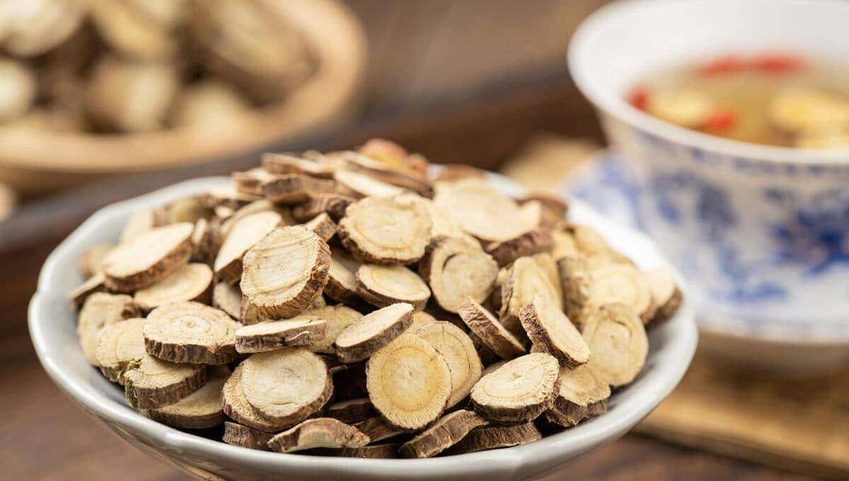 小学英语单词打卡(六下H)