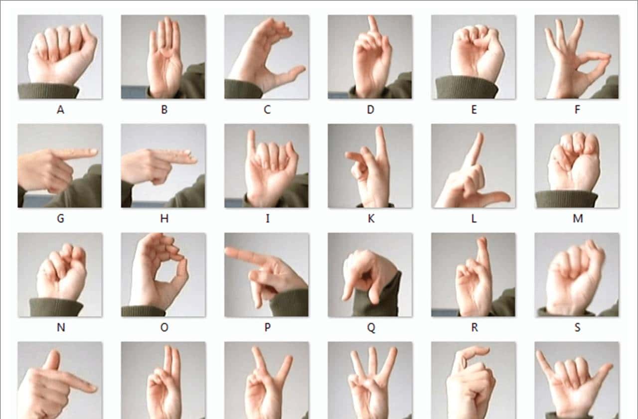 搭建和部署手语AI识别系统