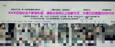 国家净网行动的持续打击下,黄色网站为何依旧泛滥?