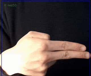 搭建和部署手语AI识别系统