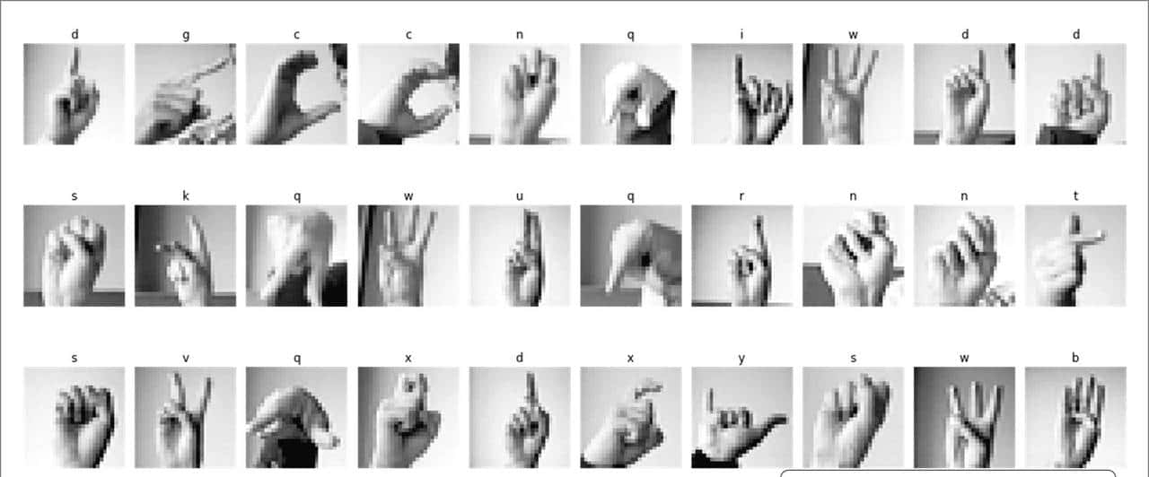 搭建和部署手语AI识别系统