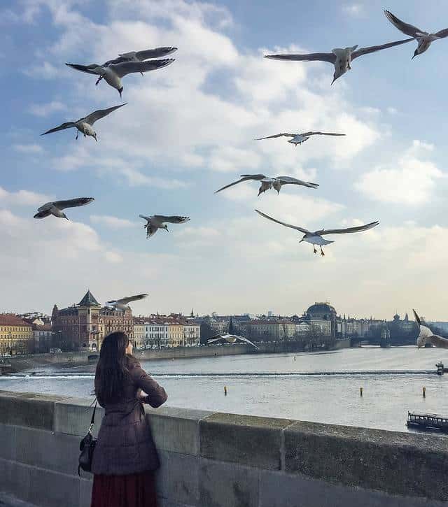 伏尔塔瓦河畔的童话世界,小清新与重口味的捷克之旅