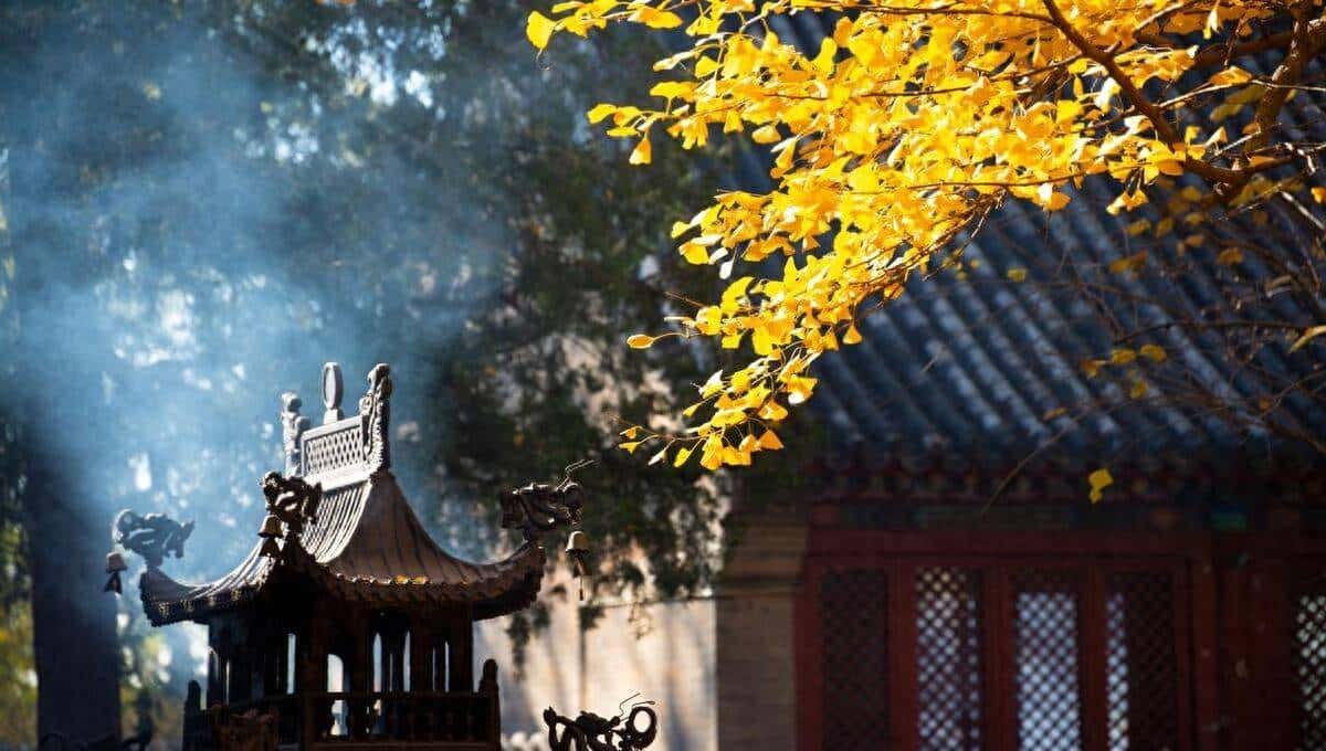 Java中拦截器和过滤器的比较 - 鹿快