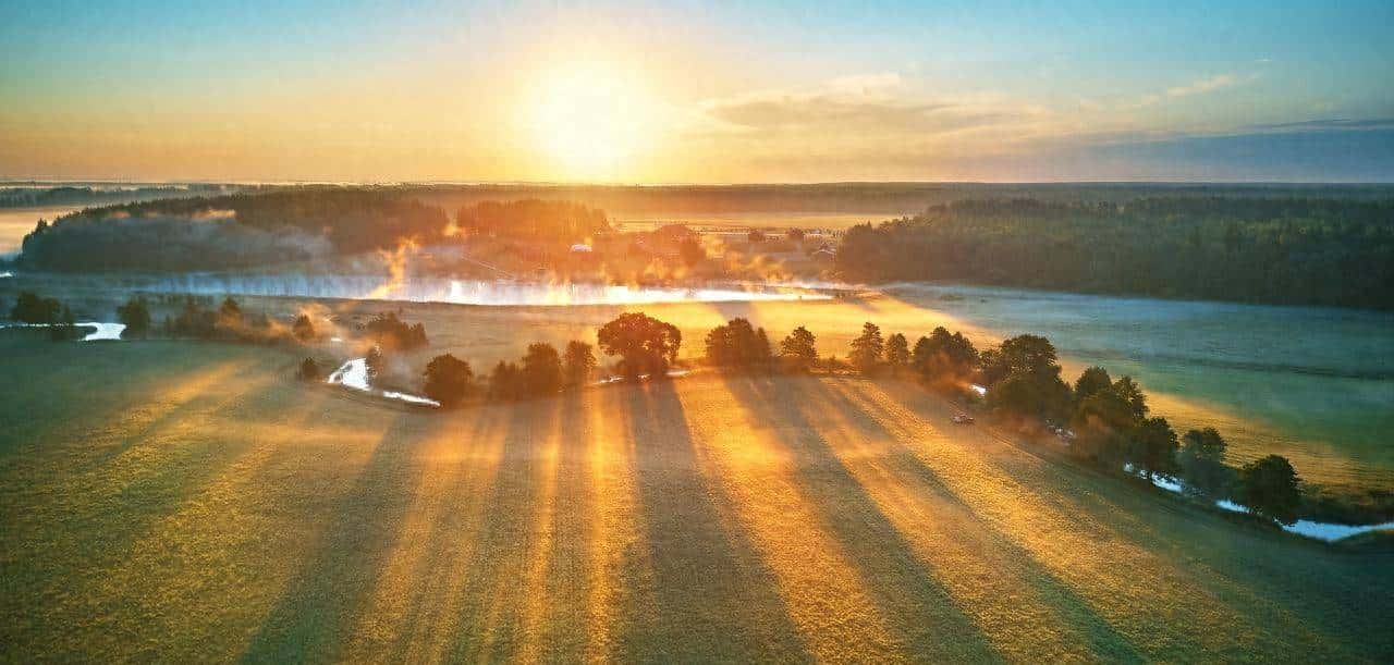 4 个表明 “弄清楚” 的英语词汇,90% 人用混!让你一次吃透