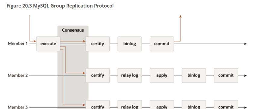 一文彻底搞懂MySQL Replication(复制)