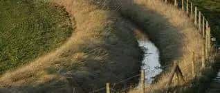 又中又英—Can’t Make Head or Tail Of