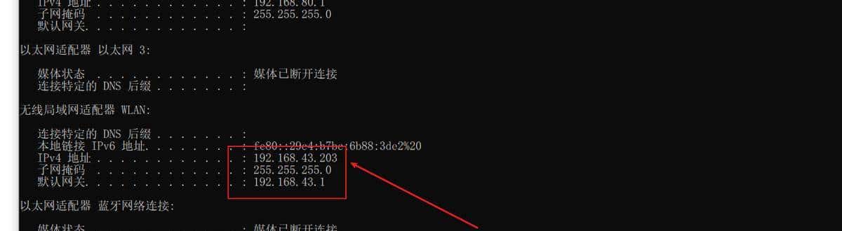 Kali与编程:黑客如何搭建和使用VMware和Kali Linux使用环境?