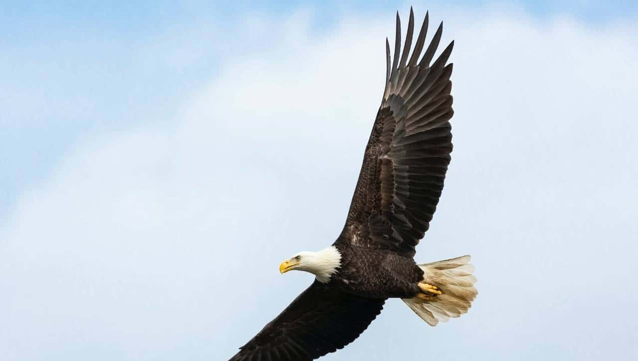 快门优先模式：指南