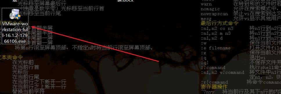 Kali与编程:黑客如何搭建和使用VMware和Kali Linux使用环境?