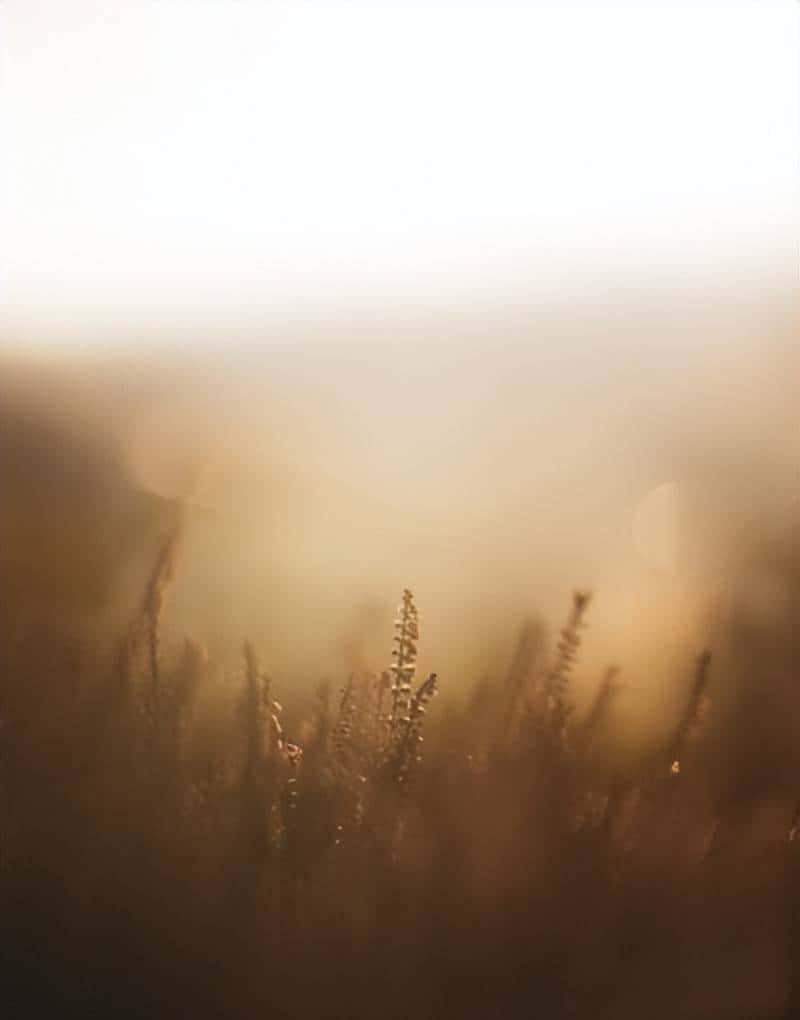 快门优先模式：指南