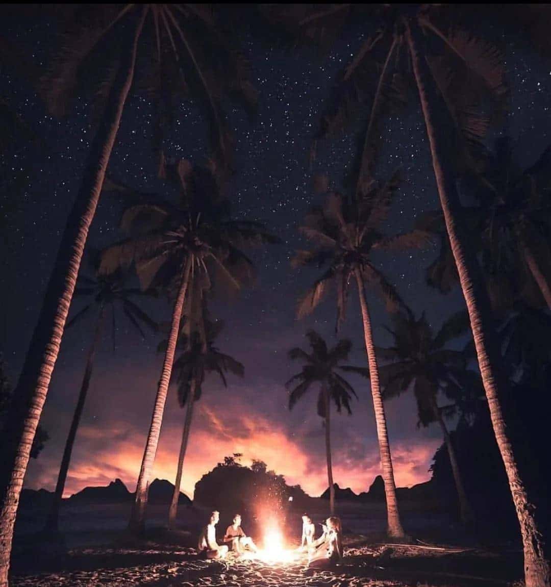 手机相机专业模式这么用，一篇看懂核心操作