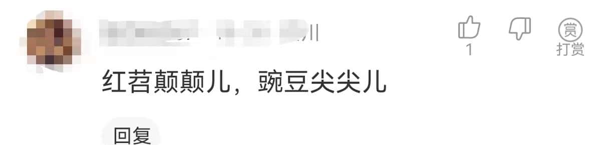 很喜爱听四川人讲话，他们都喜爱说叠词，幽默又可爱