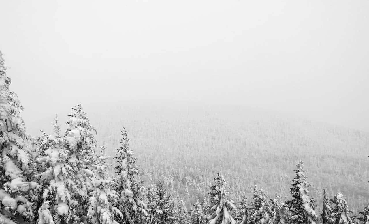 快门优先模式：指南