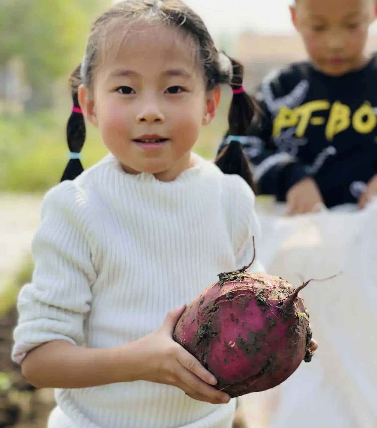 带娃挖红薯的一天 - 鹿快