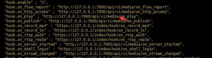 GB28181_Node_Http运行调试