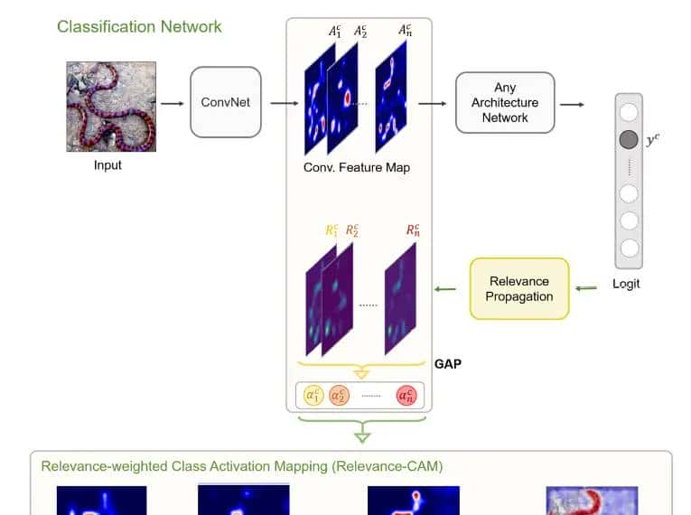 最新CAM(Class Activation Map)系列工作概览(2016-2025)