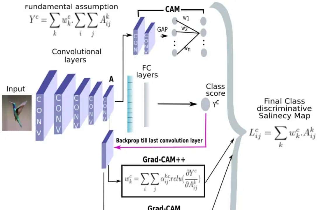 最新CAM(Class Activation Map)系列工作概览(2016-2025)