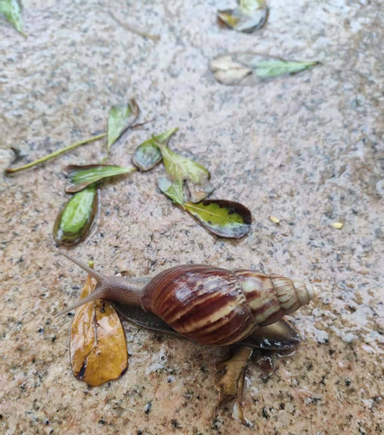 Java IO(四):FileOutputStream使用