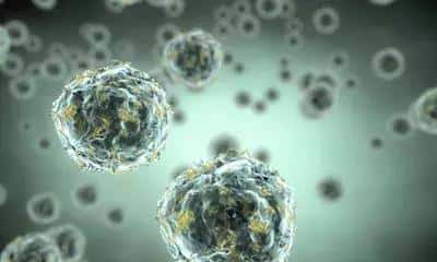 「重磅发布」肿瘤是一种代谢性疾病