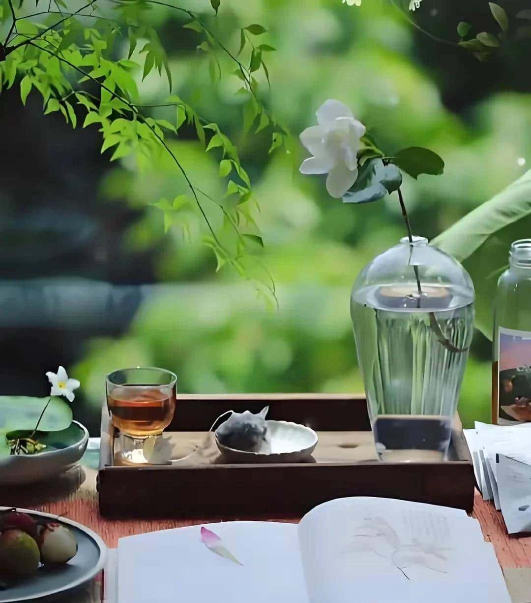 冠词a和an到底怎么用？美朱老师一次性讲清楚