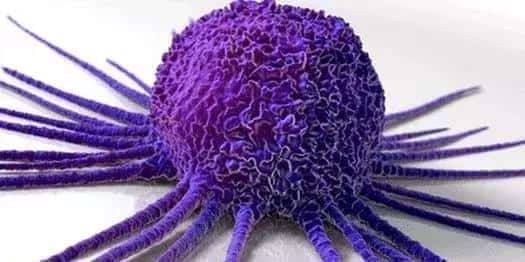 「重磅发布」肿瘤是一种代谢性疾病