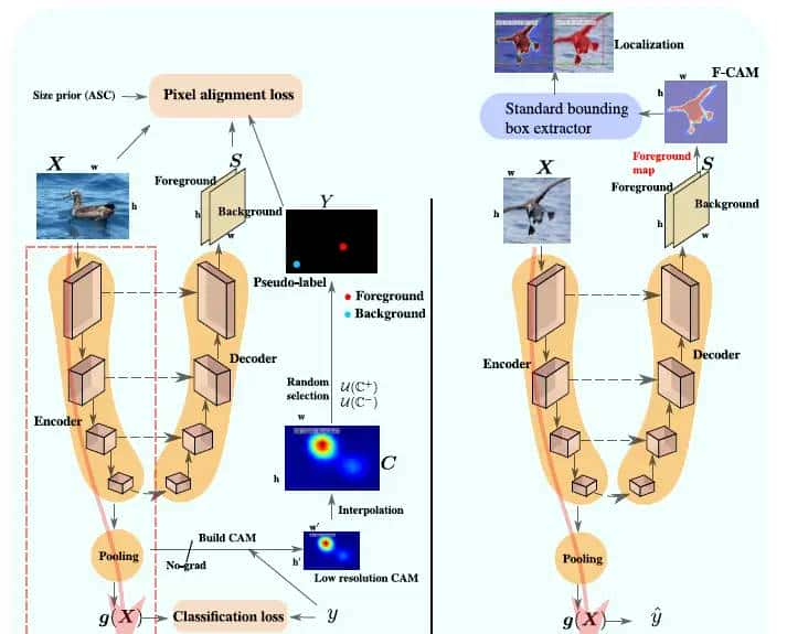最新CAM(Class Activation Map)系列工作概览(2016-2025)