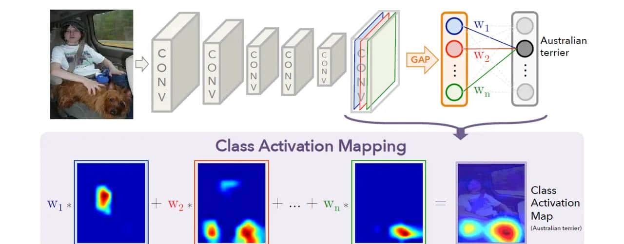 最新CAM(Class Activation Map)系列工作概览(2016-2025)