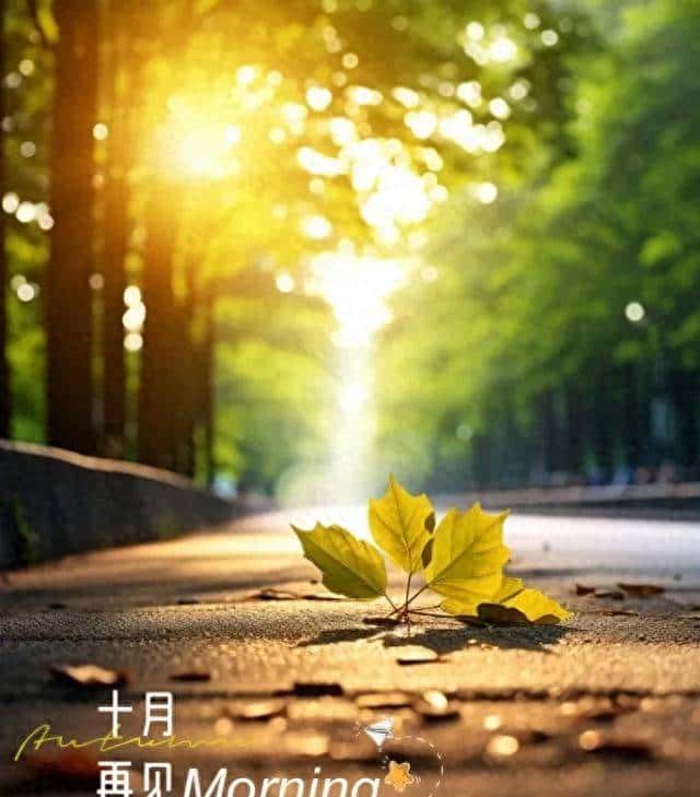 AI指令词合集,秒变高手!