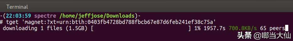 centos命令行下载BT种子和磁力链接 - 鹿快