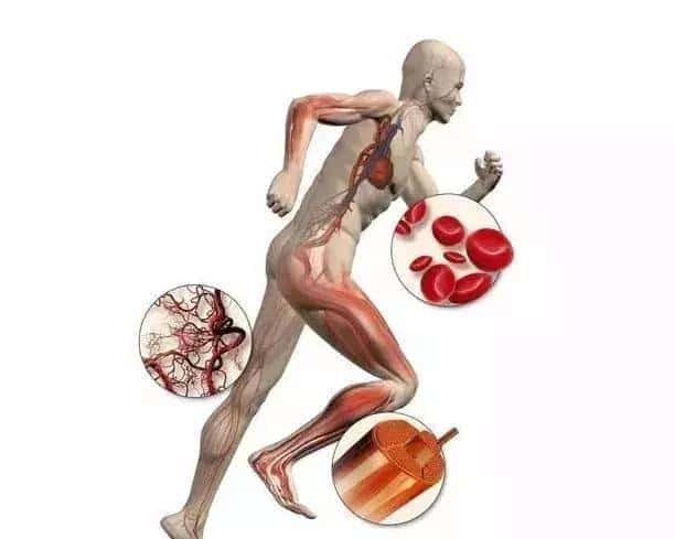 「重磅发布」肿瘤是一种代谢性疾病