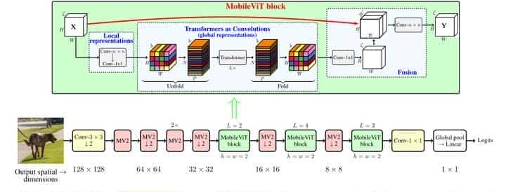 轻量 通用 适用于移动设备的Transformer!苹果公司提出了MobileViT