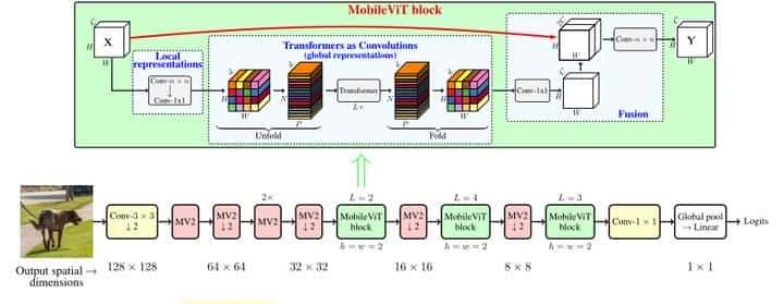 轻量 通用 适用于移动设备的Transformer!苹果公司提出了MobileViT