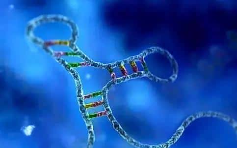 「重磅发布」肿瘤是一种代谢性疾病