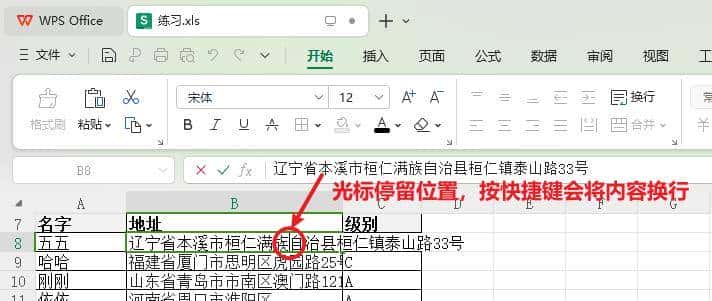 「Excel技巧」Excel单元格内如何快速自动换行