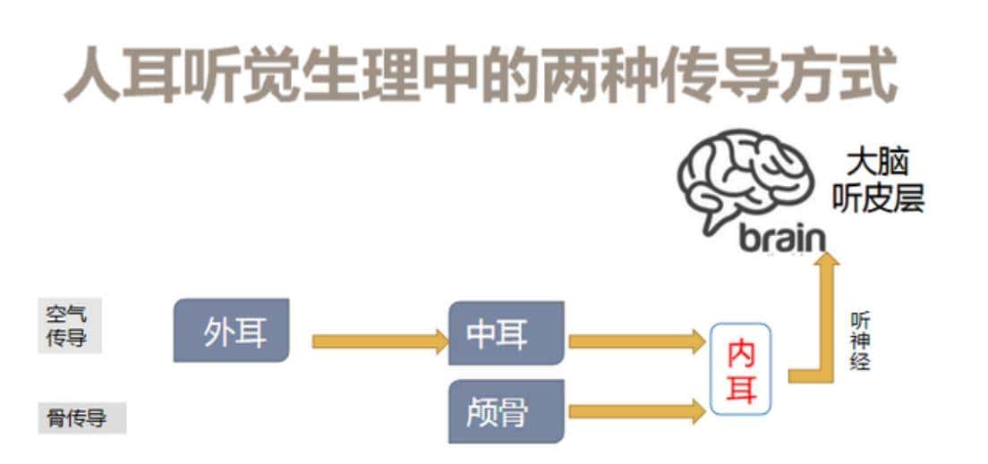 2022骨传导耳机哪个牌子好?一文读懂:如何选择骨传导耳机 - 鹿快